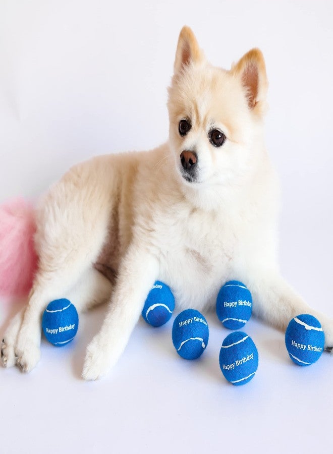 Midlee Happy Birthday Dog Tennis Balls (12 Pack) (Small, Blue) - Image 5